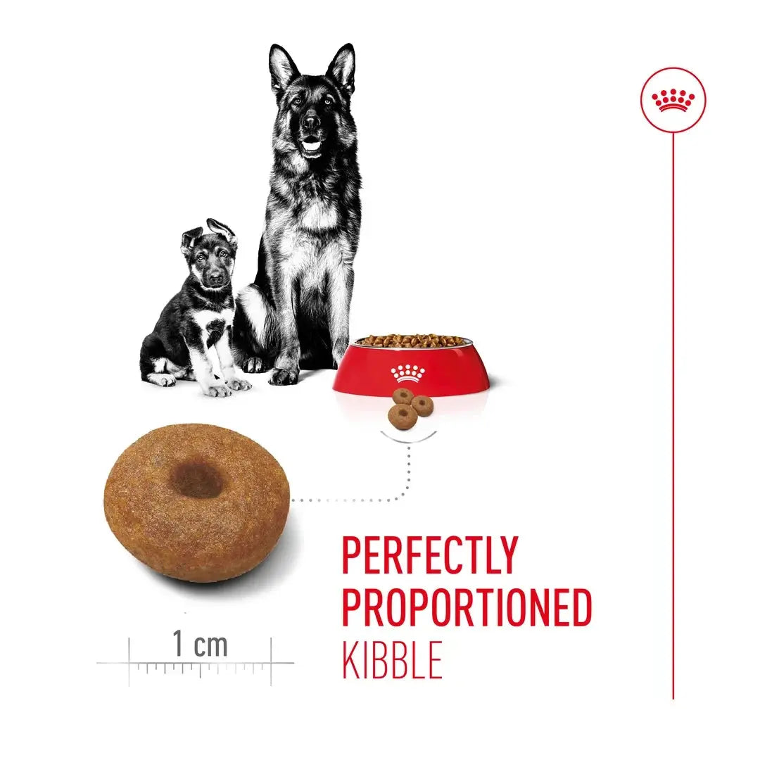Royal Canin Maxi Starter Mother & Baby Dry Dog Food
