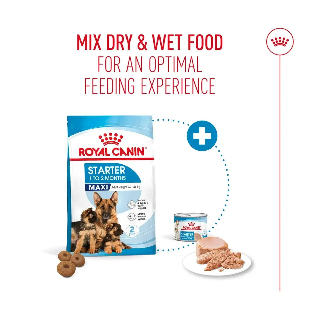 Royal Canin Maxi Starter Mother & Baby Dry Dog Food