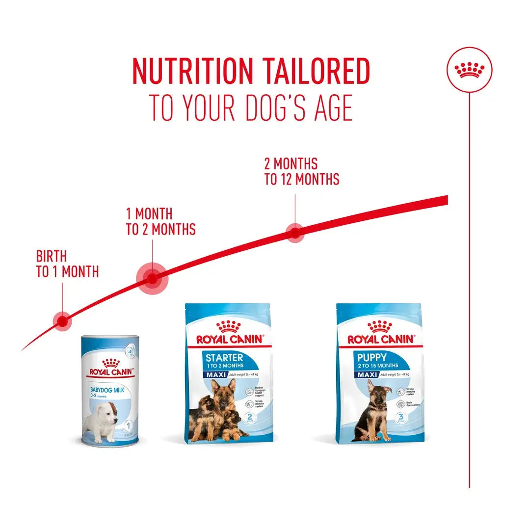 Royal Canin Maxi Starter Mother & Baby Dry Dog Food