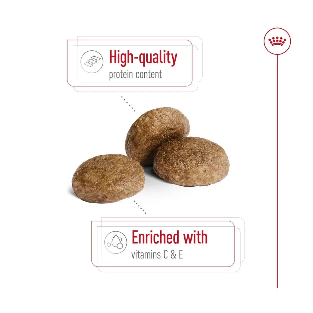 Royal Canin Medium Adult 7+ Dry Dog Food