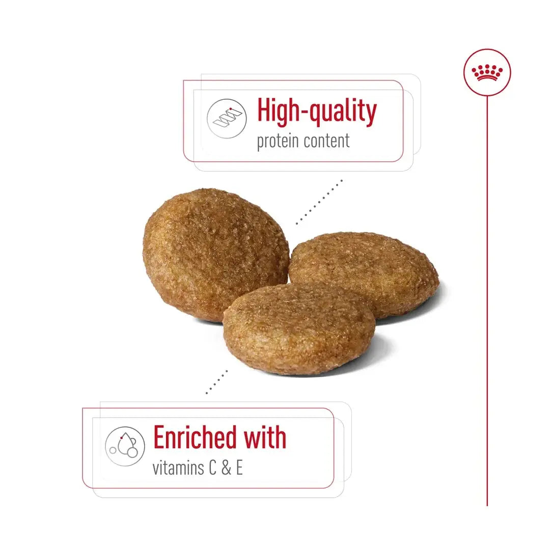 Royal Canin Medium Adult Dry Dog Food