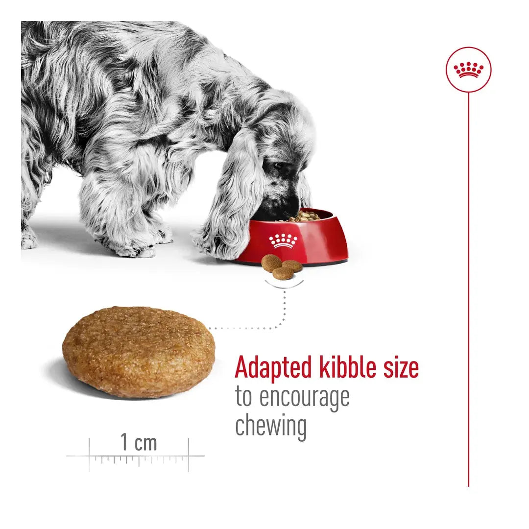 Royal Canin Medium Adult Dry Dog Food