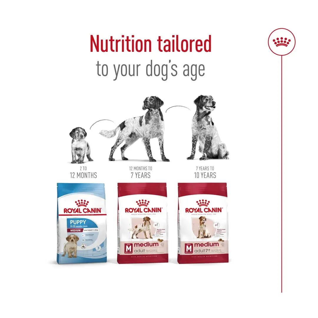 Royal Canin Medium Adult Dry Dog Food