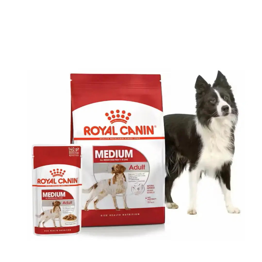 Royal Canin Medium Adult Wet Dog Food Pouch   | Canine & Co