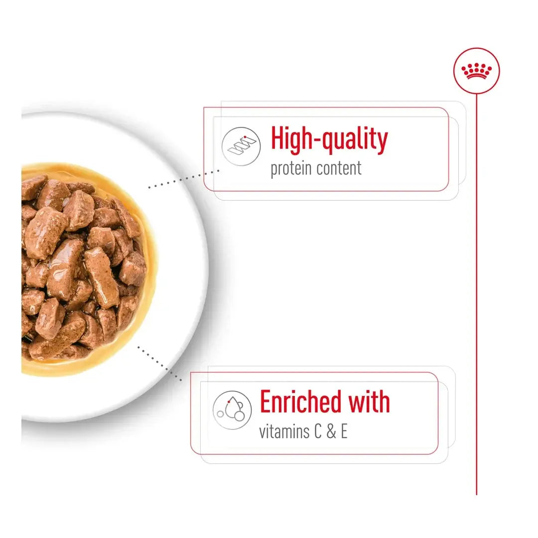 Royal Canin Medium Adult Wet Dog Food Pouch