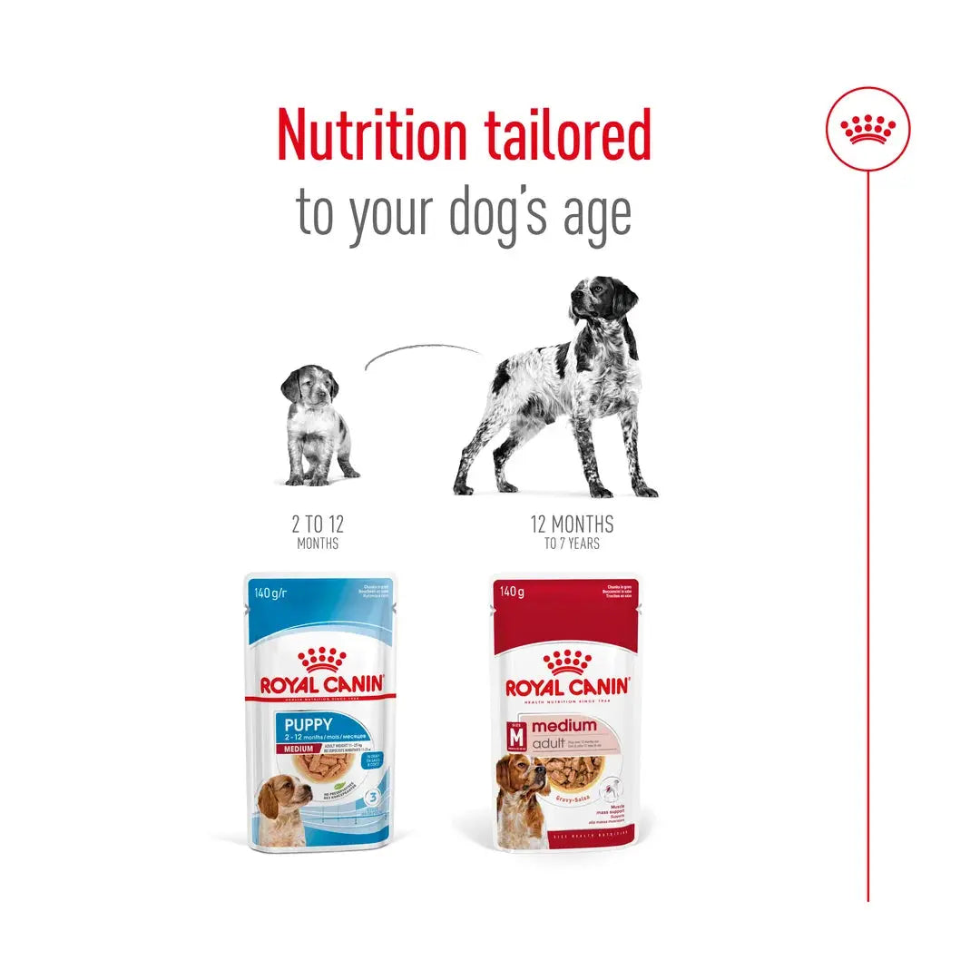 Royal Canin Medium Adult Wet Dog Food Pouch