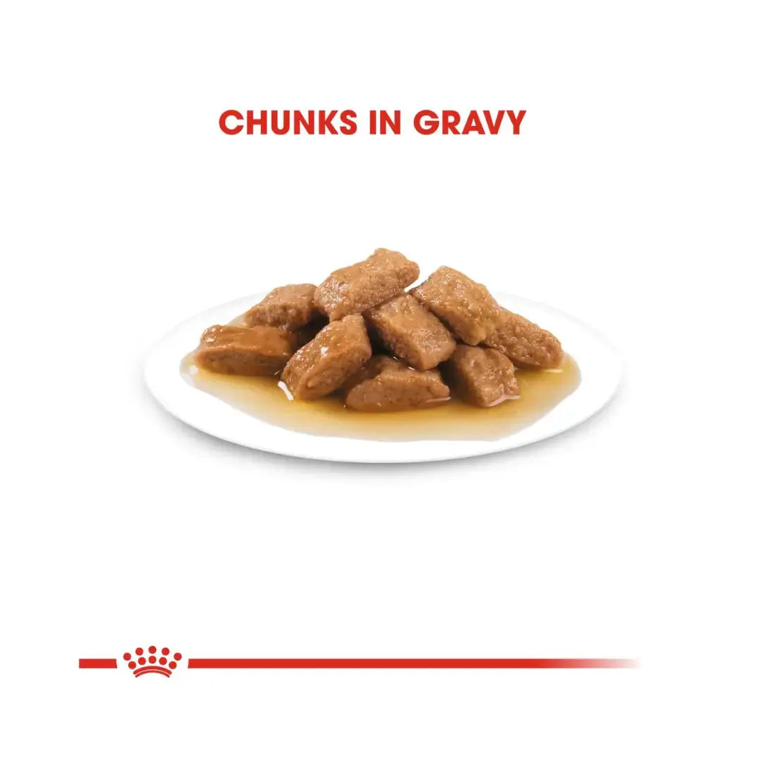 Royal Canin Medium Ageing Wet Dog Food Pouch   | Canine & Co