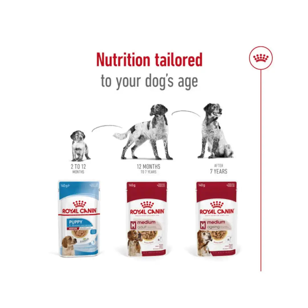 Royal Canin Medium Ageing Wet Dog Food Pouch   | Canine & Co