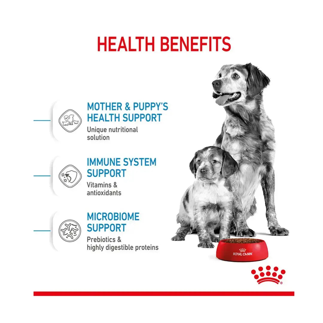 Royal Canin Medium Starter Mother & Baby Dry Dog Food   | Canine & Co