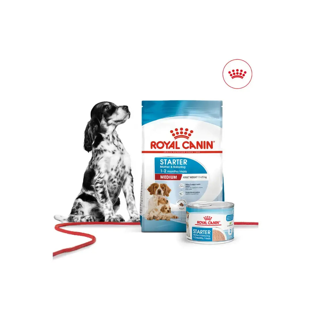 Royal Canin Medium Starter Mother & Baby Dry Dog Food   | Canine & Co