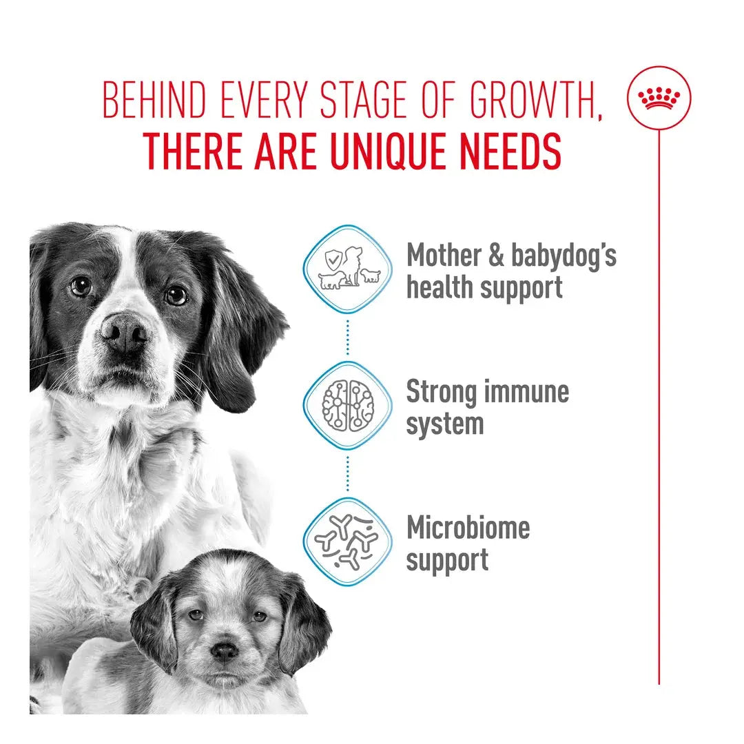 Royal Canin Medium Starter Mother & Baby Dry Dog Food