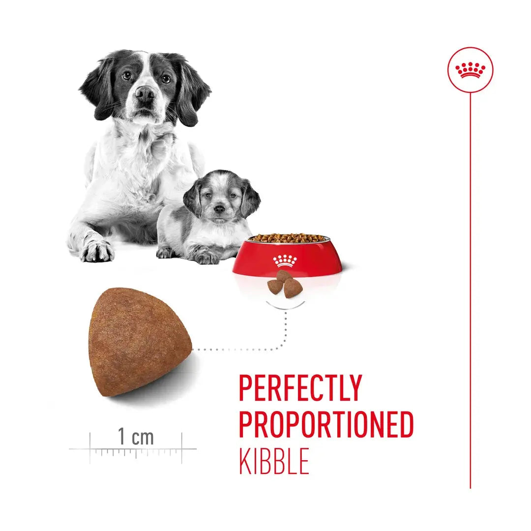 Royal Canin Medium Starter Mother & Baby Dry Dog Food