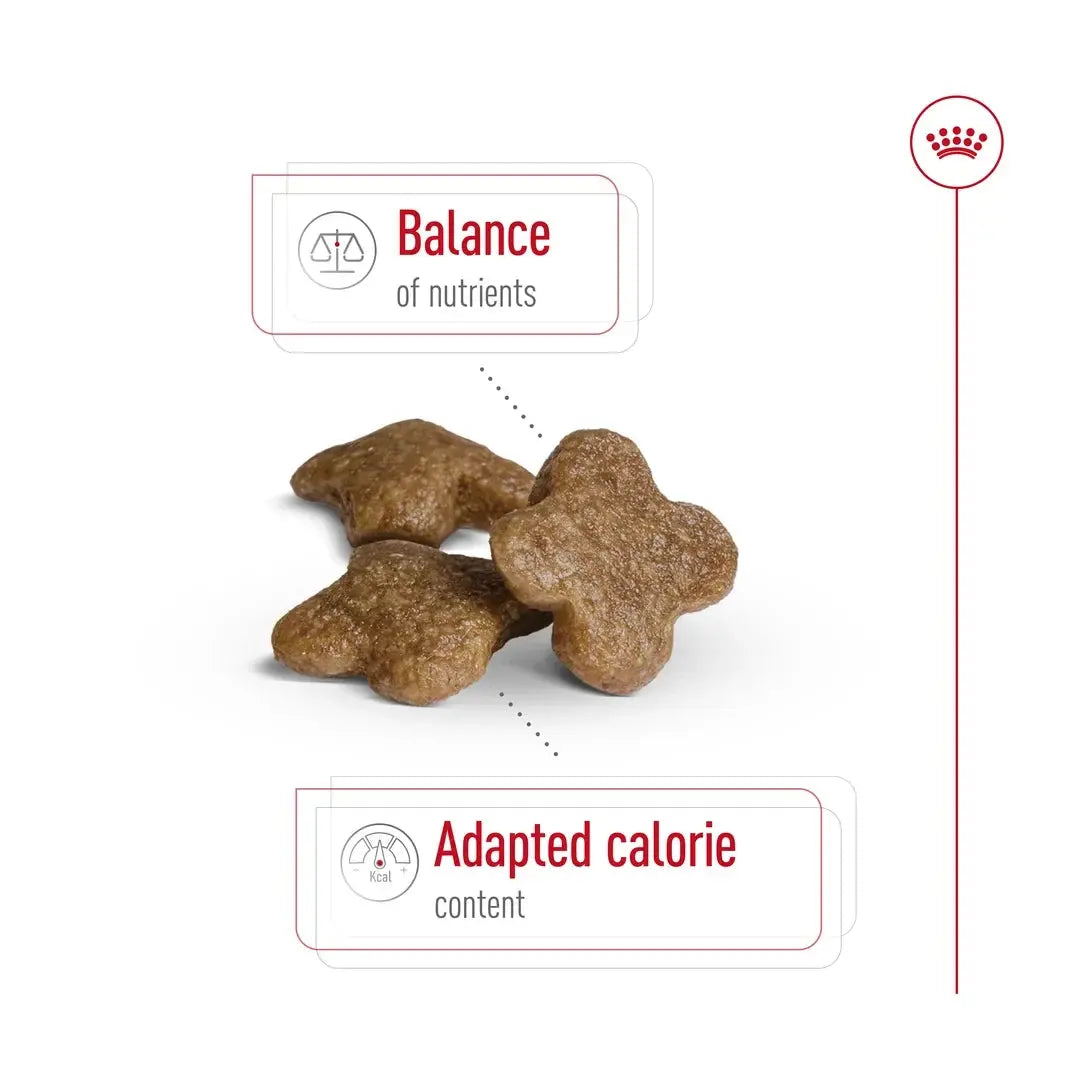 Royal Canin Mini Adult 8+ Dry Dog Food