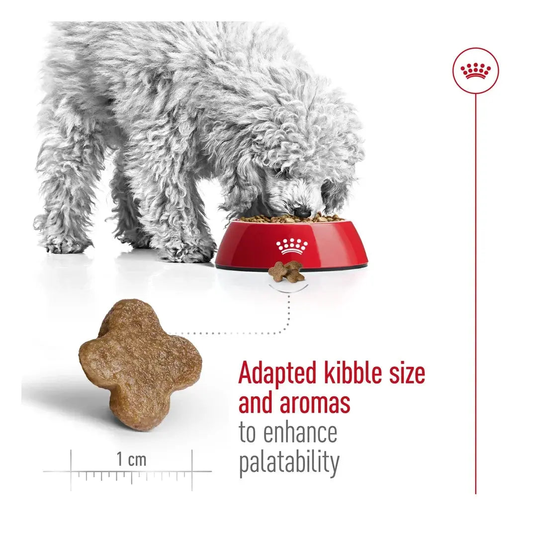Royal Canin Mini Adult 8+ Dry Dog Food