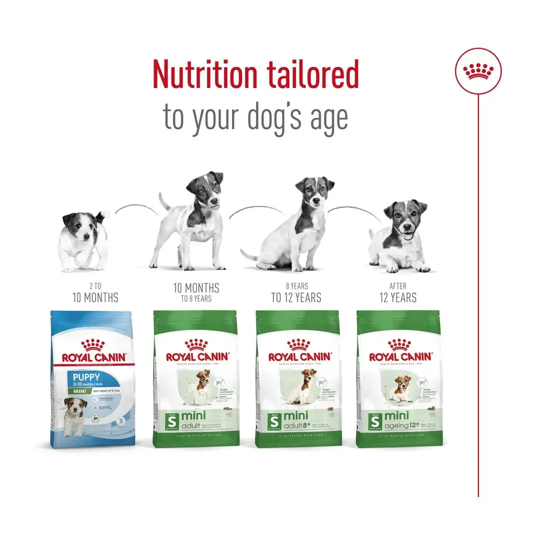 Royal Canin Mini Adult 8+ Dry Dog Food