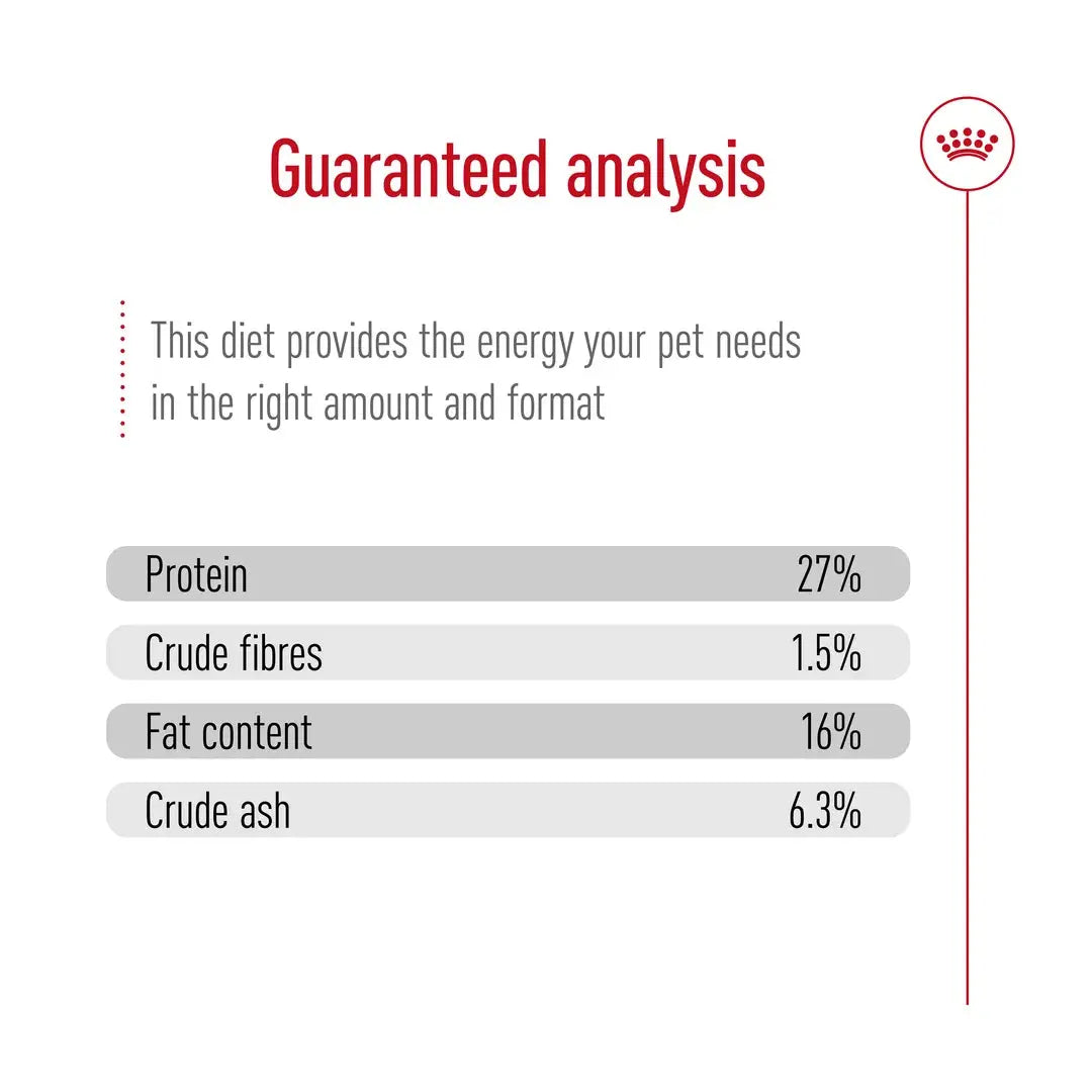 Royal Canin Mini Adult 8+ Dry Dog Food