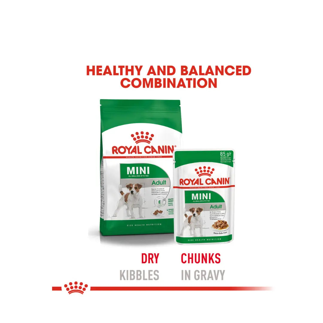 Royal Canin Mini Adult Dog Wet Dog Food Pouch PROMO   | Canine & Co