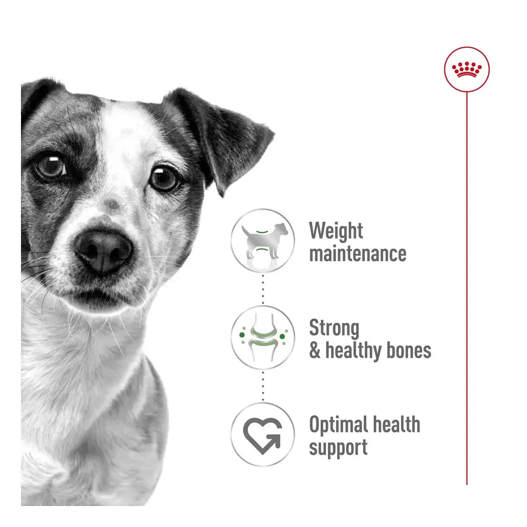 Royal Canin Mini Adult Dry Dog Food