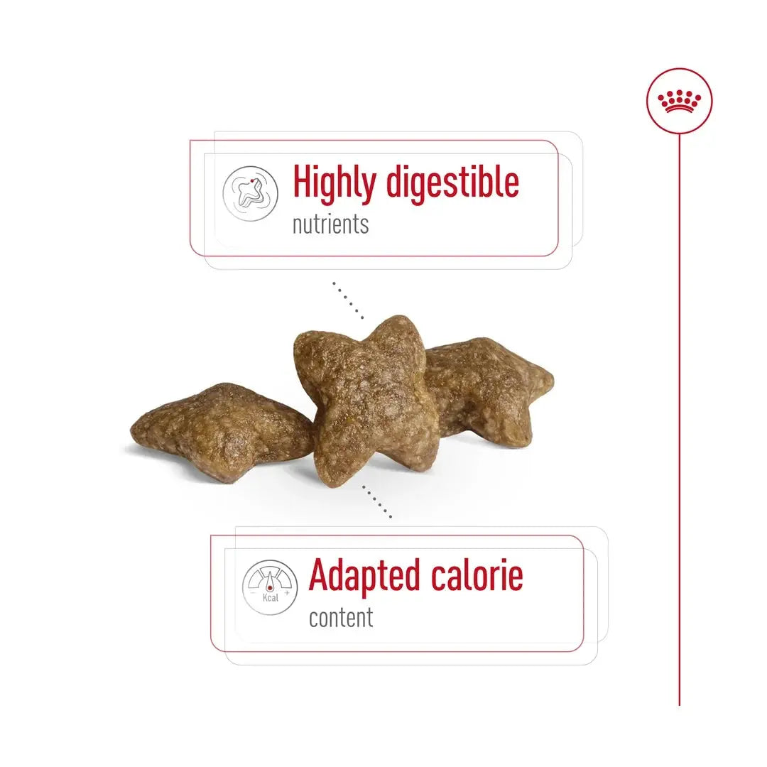 Royal Canin Mini Adult Dry Dog Food