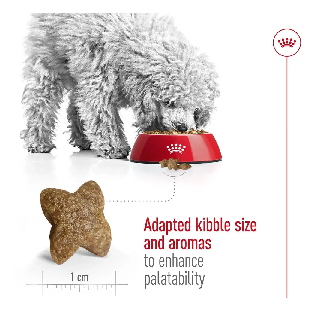 Royal Canin Mini Adult Dry Dog Food