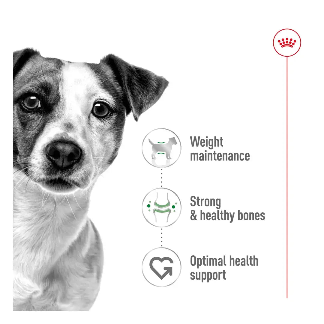 Royal Canin Mini Adult Wet Dog Food Pouch