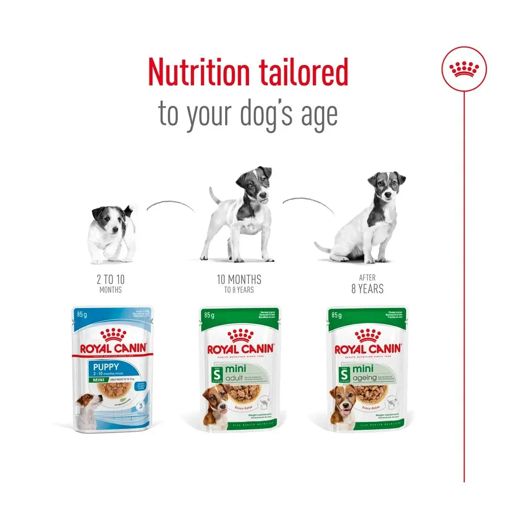 Royal Canin Mini Adult Wet Dog Food Pouch