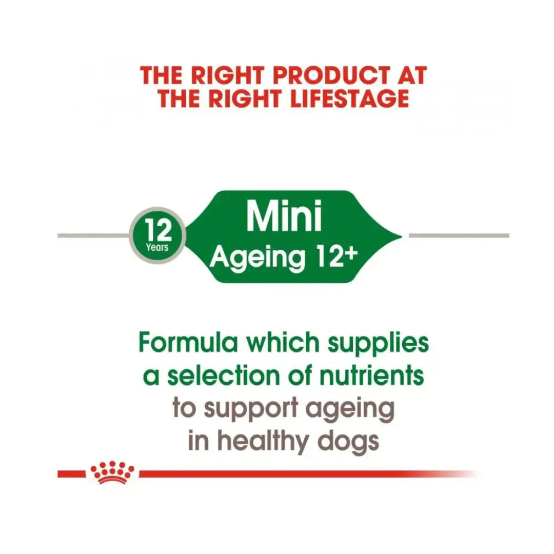Royal Canin Mini Ageing 12+ Wet Dog Food Pouch   | Canine & Co