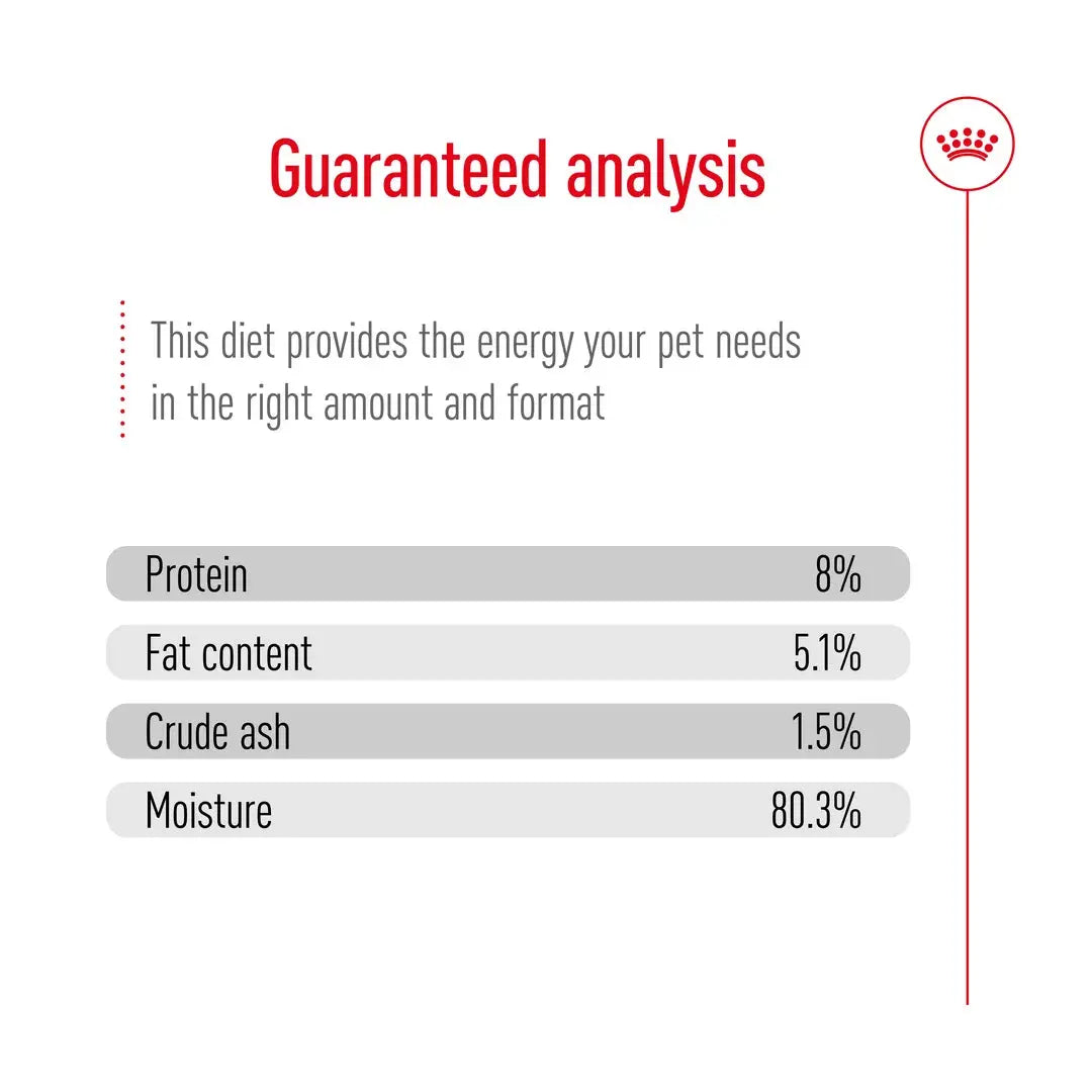 Royal Canin Mini Ageing 12+ Wet Dog Food Pouch
