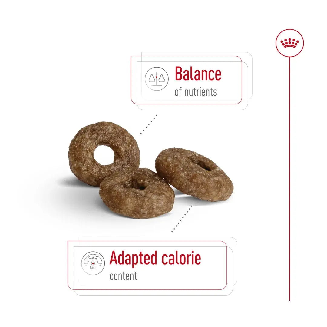 Royal Canin Mini Ageing +12 Dry Dog Food