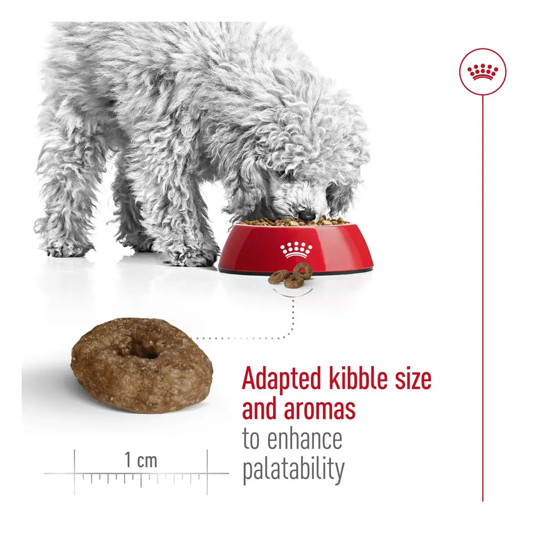 Royal Canin Mini Ageing +12 Dry Dog Food