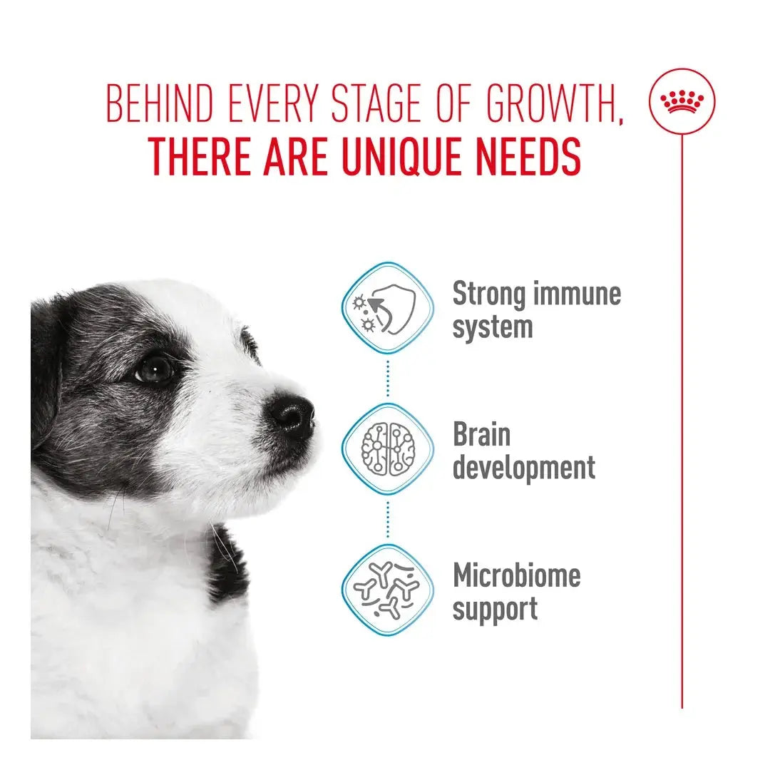 Royal Canin Mini Puppy Food