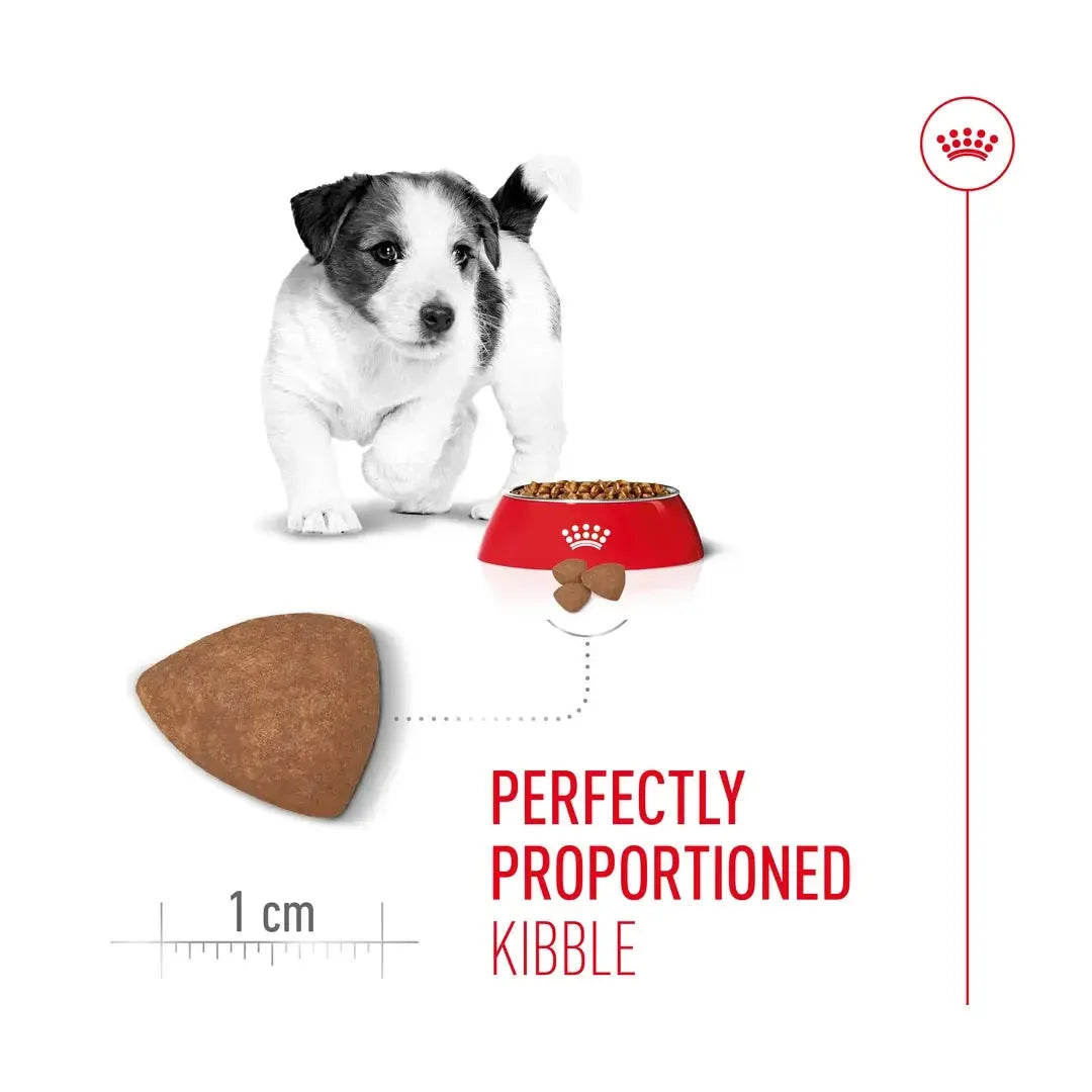 Royal Canin Mini Puppy Food