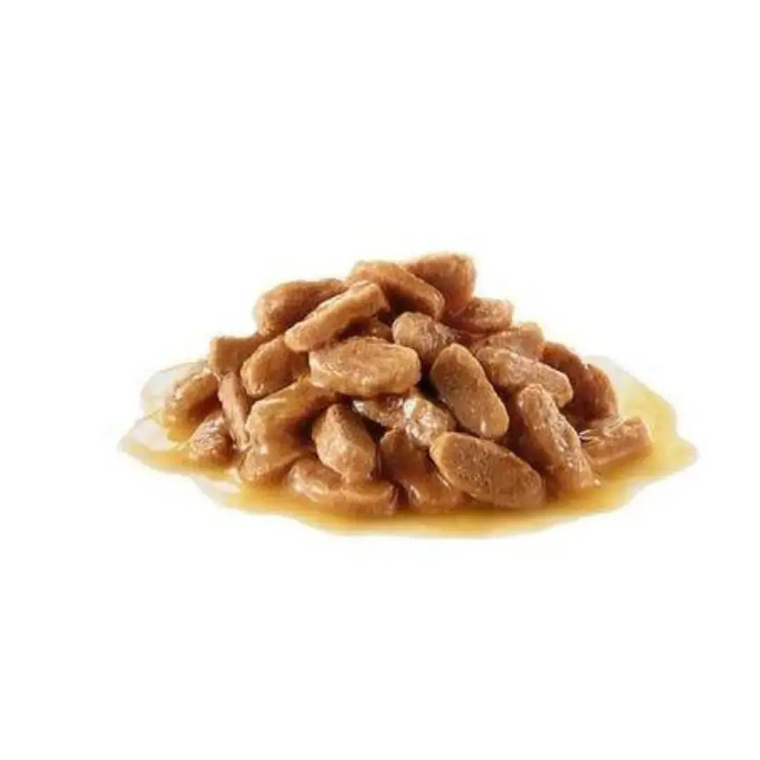 Royal Canin Mini Puppy Wet Dog Food Pouch   | Canine & Co