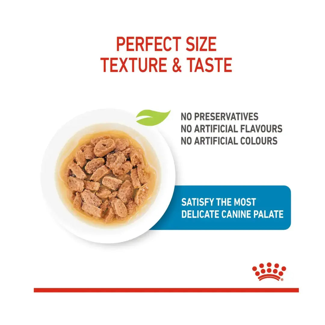 Royal Canin Mini Puppy Wet Dog Food Pouch   | Canine & Co