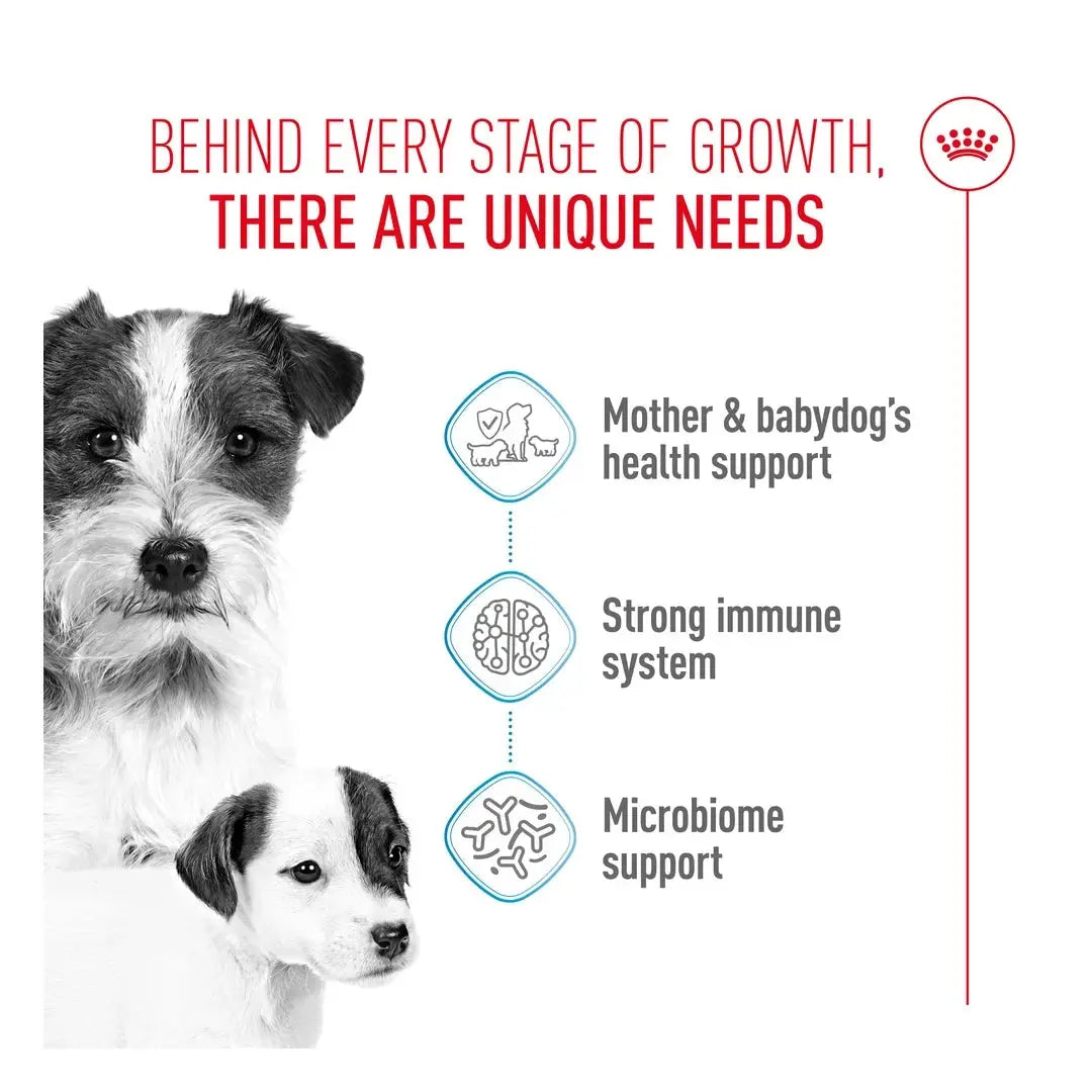Royal Canin Mini Starter Mother & Baby Dry Dog Food