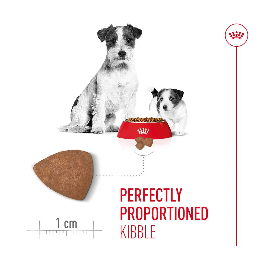 Royal Canin Mini Starter Mother & Baby Dry Dog Food