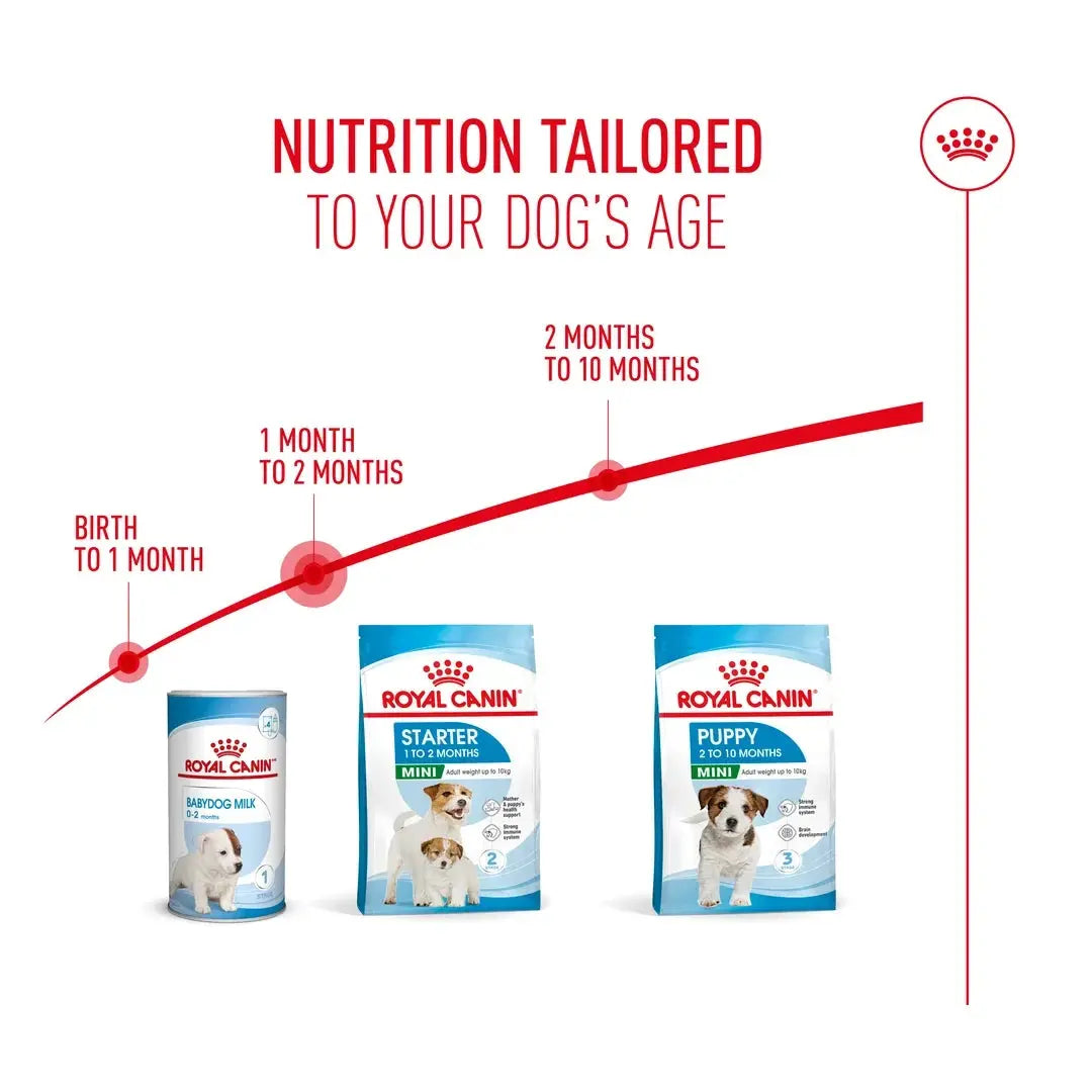 Royal Canin Mini Starter Mother & Baby Dry Dog Food