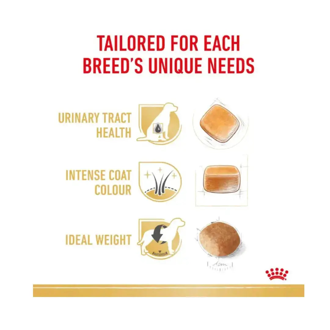 Royal Canin Miniature Schnauzer Adult Dry Dog Food   | Canine & Co