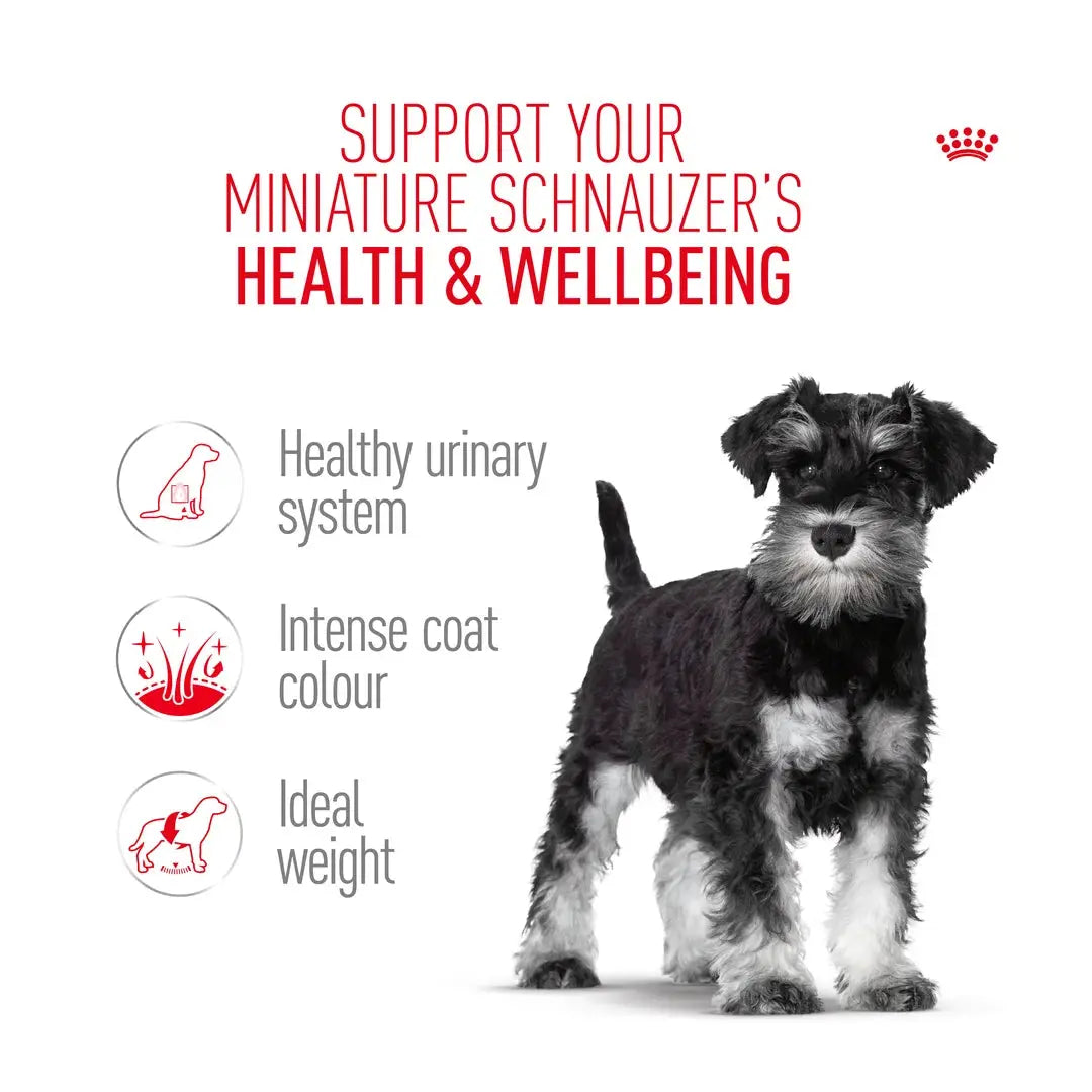 Royal Canin Miniature Schnauzer Adult Dry Dog Food
