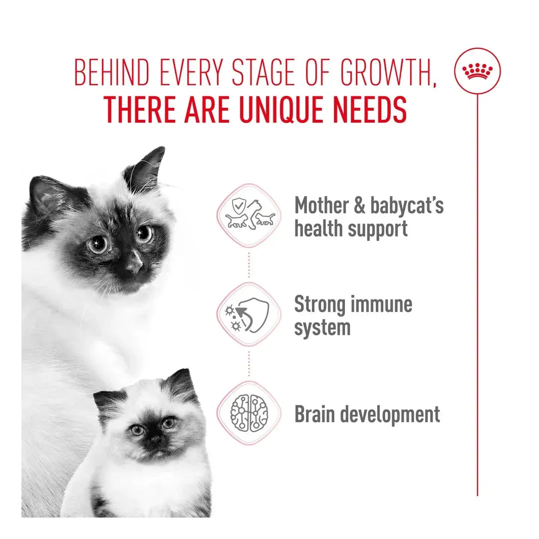 Royal Canin Mother & Baby Dry Cat Food