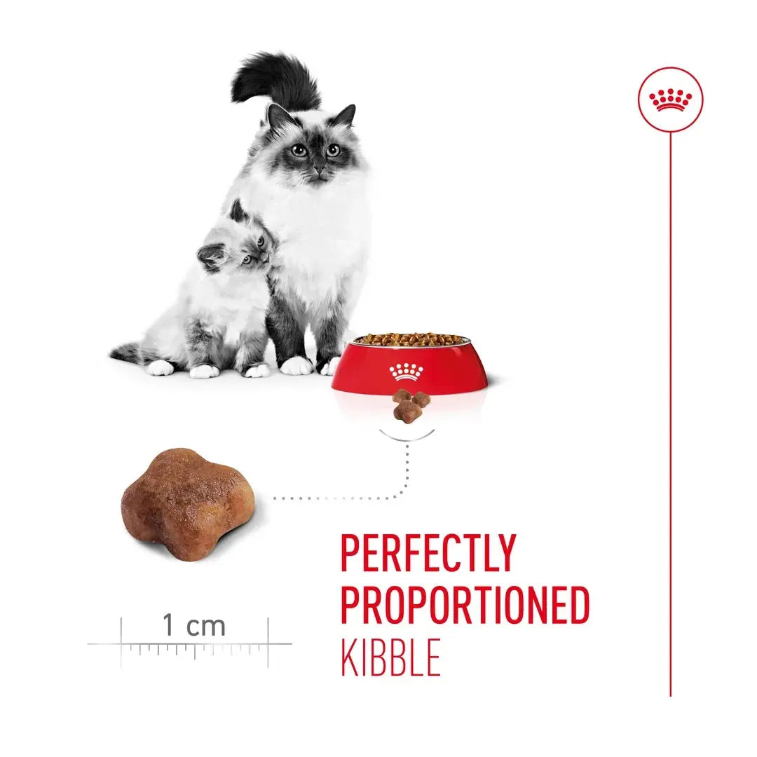 Royal Canin Mother & Baby Dry Cat Food