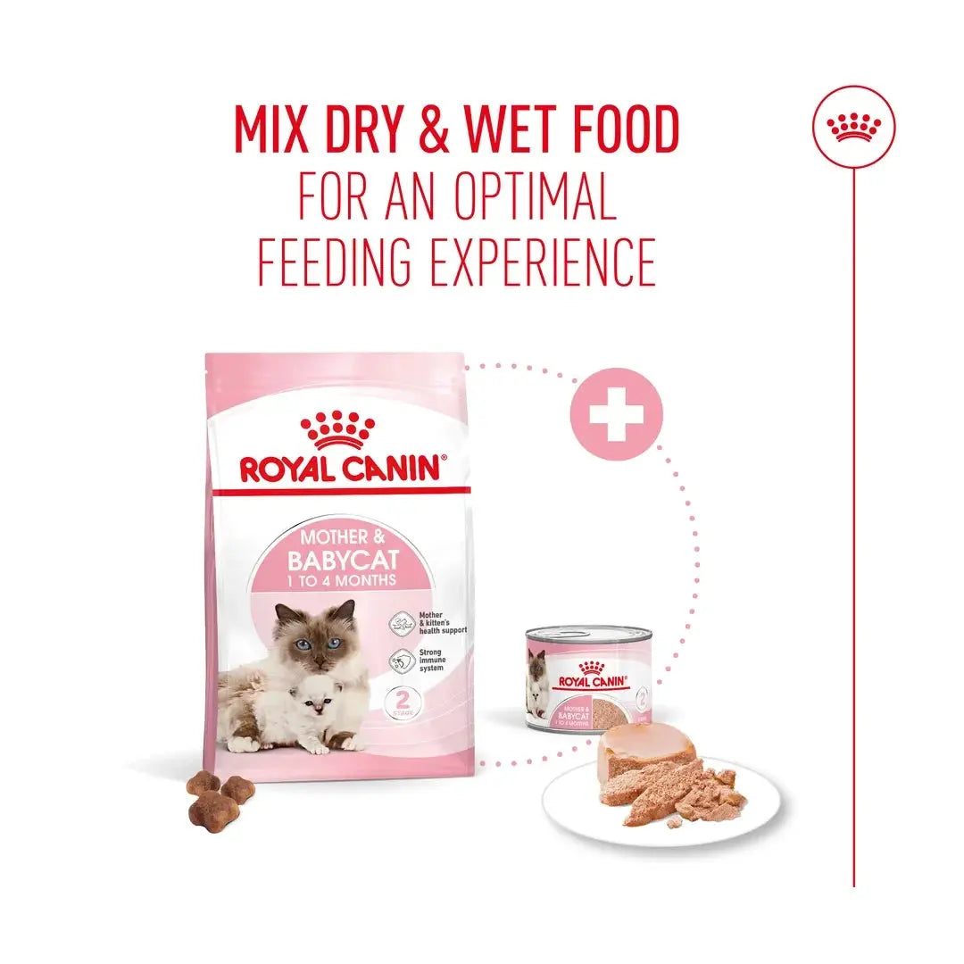 Royal Canin Mother & Baby Dry Cat Food