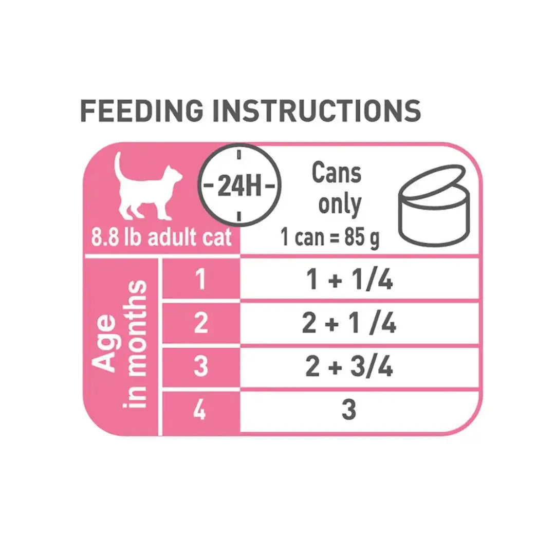 Royal Canin Mother & Babycat Wet Cat Food   | Canine & Co