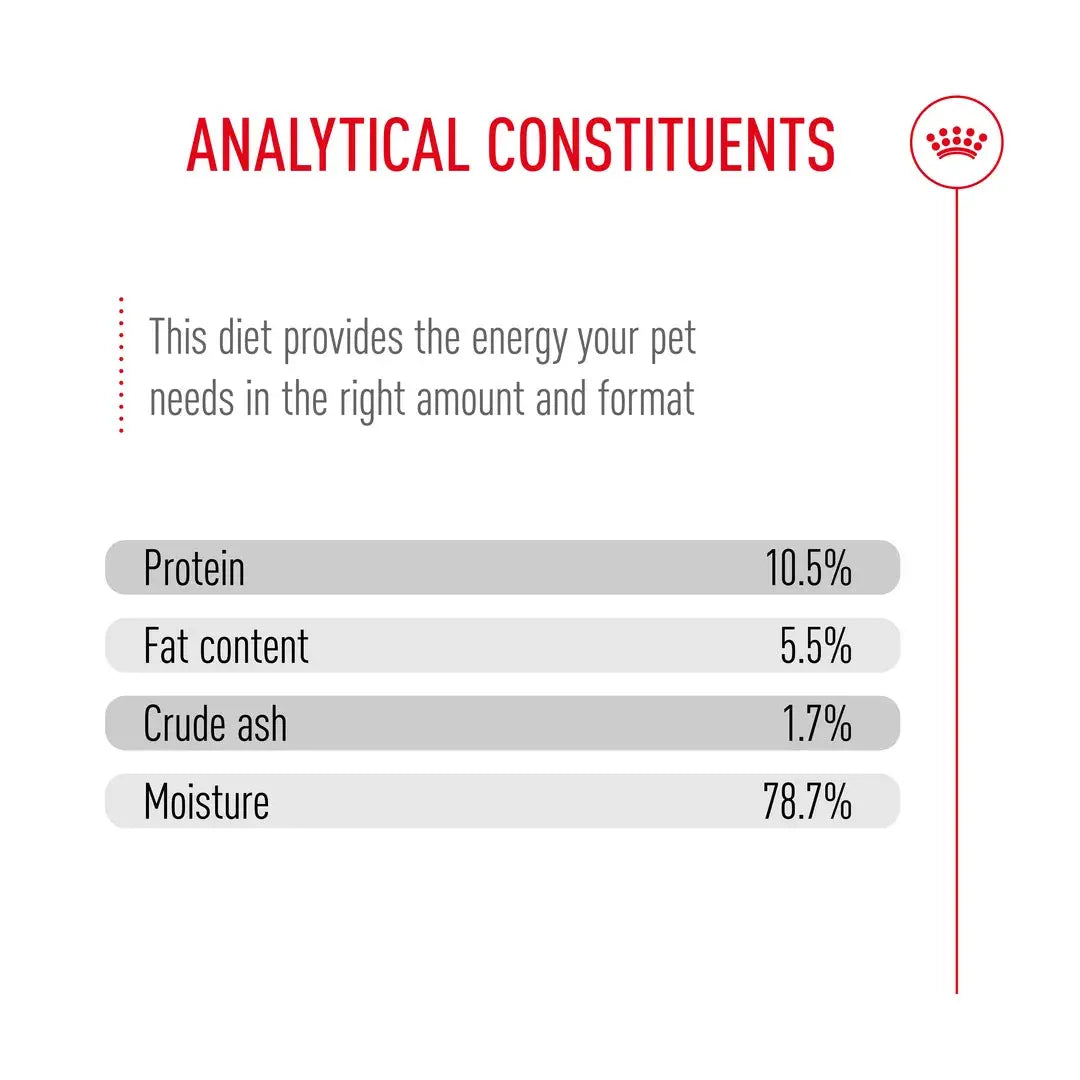Royal Canin Mother & Babycat Wet Cat Food
