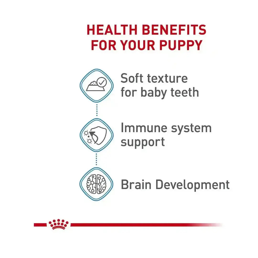 Royal Canin Mother & Babydog Starter Wet Dog Food   | Canine & Co