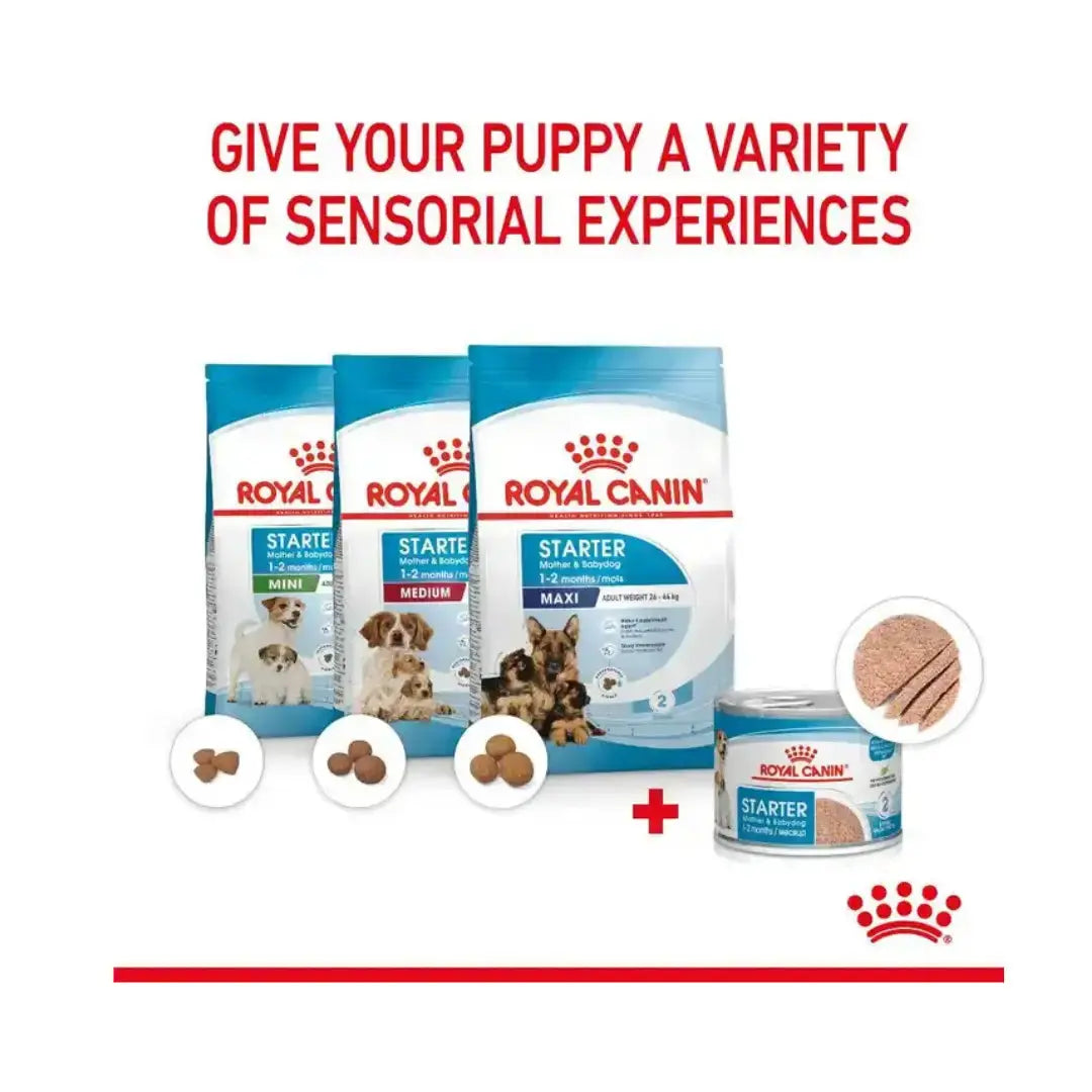 Royal Canin Mother & Babydog Starter Wet Dog Food   | Canine & Co
