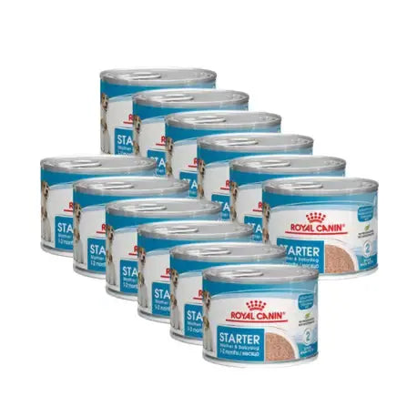 Royal Canin Mother & Babydog Starter Wet Dog Food   | Canine & Co