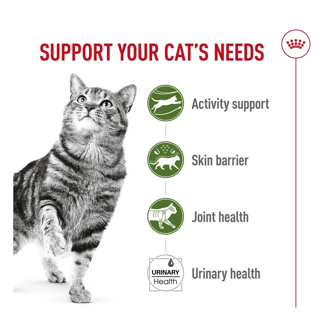 Royal Canin Outdoor Dry Cat Food