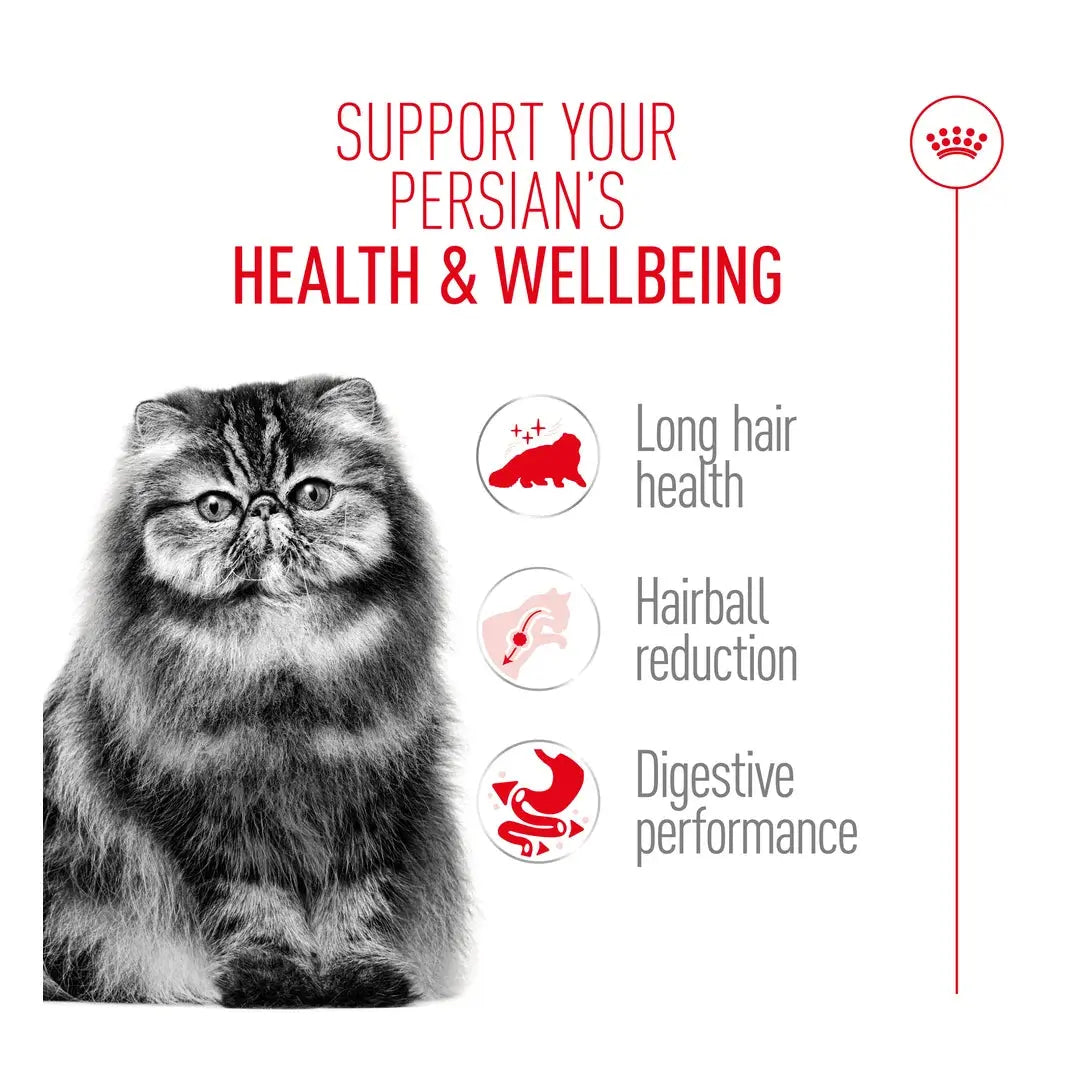 Royal Canin Persian Adult Dry Cat Food