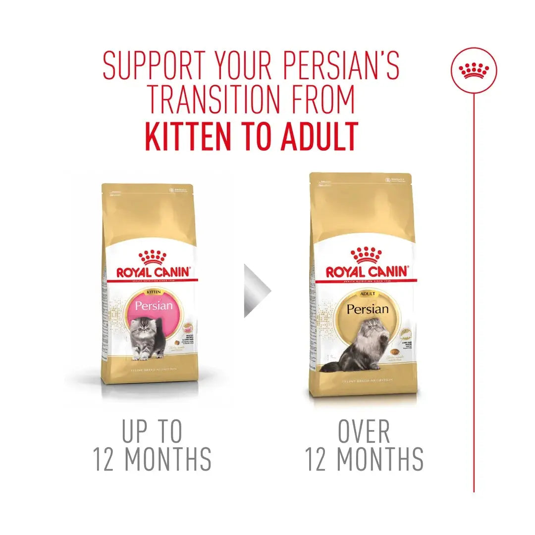 Royal Canin Persian Kitten Dry Cat Food